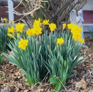 Meet your Posher, Andrea steadman